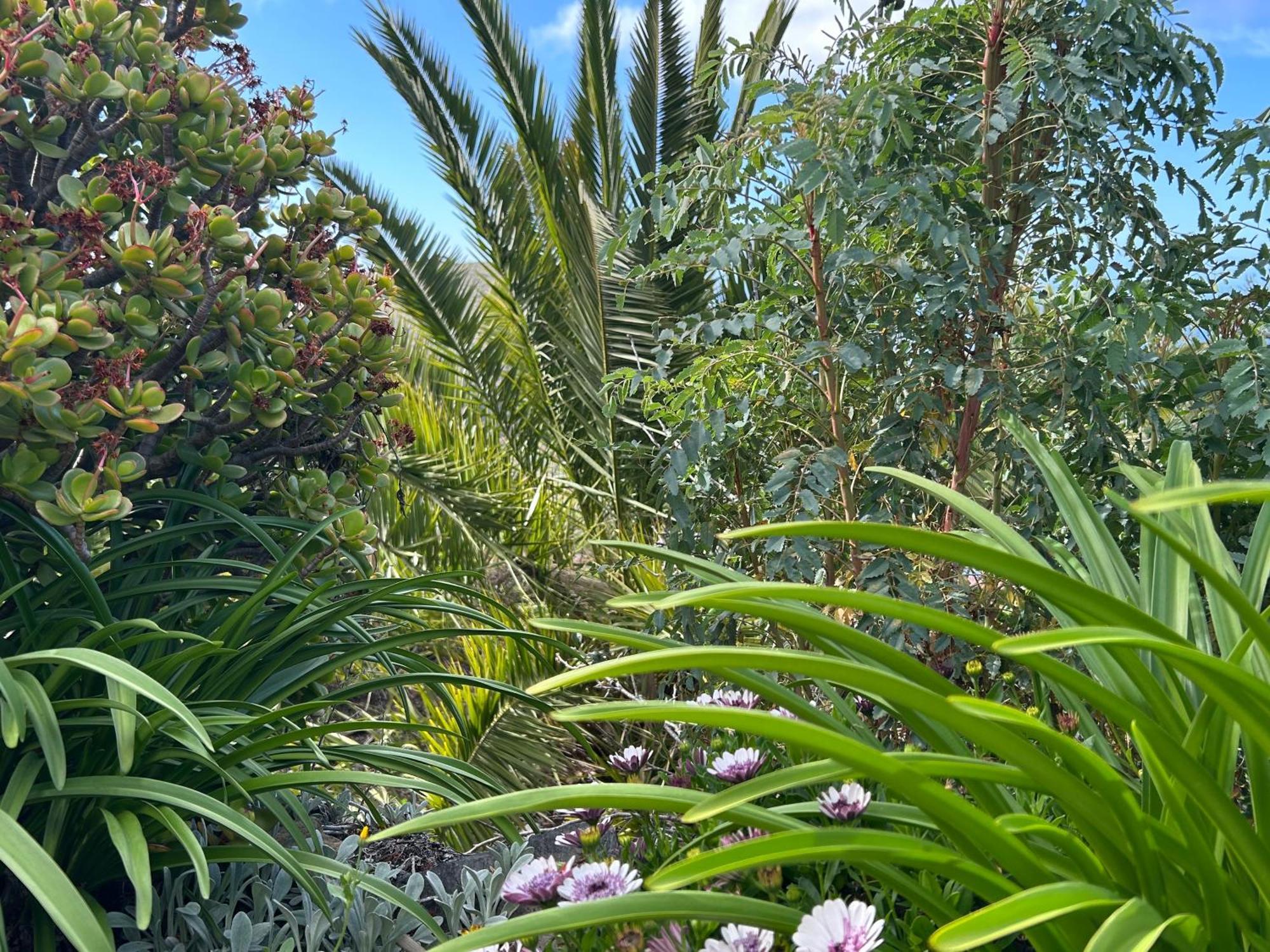 Casa Buenavida Villa Alajero Exterior photo